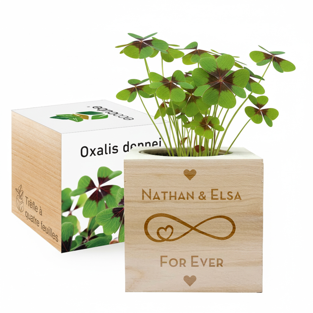 Engraved Ecocubes Engraved Ecocubes