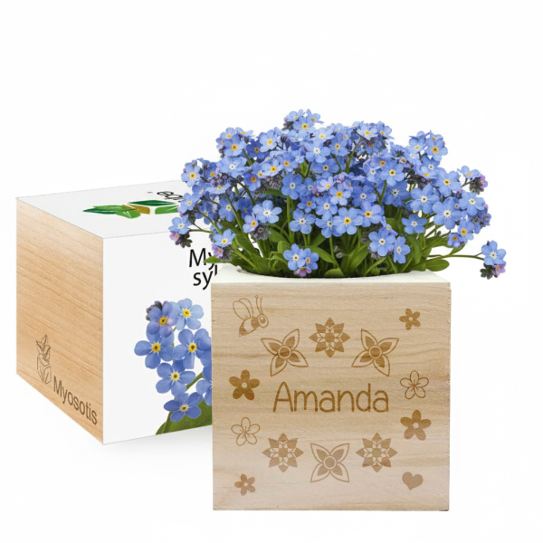EcoCube personalised First Name EcoCube personalised First Name