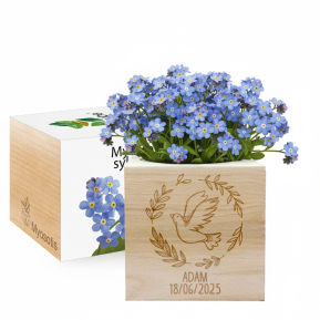 EcoCube engraved dove baptism EcoCube engraved dove baptism