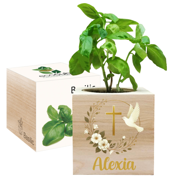 Printed EcoCube dove baptism Printed EcoCube dove baptism