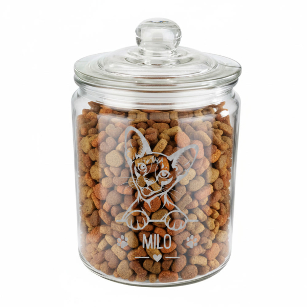 Engraved cat treat jar Engraved cat treat jar