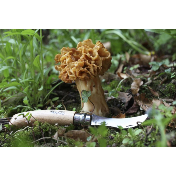 Engraved Opinel No. 8 mushroom knife Engraved Opinel No. 8 mushroom knife