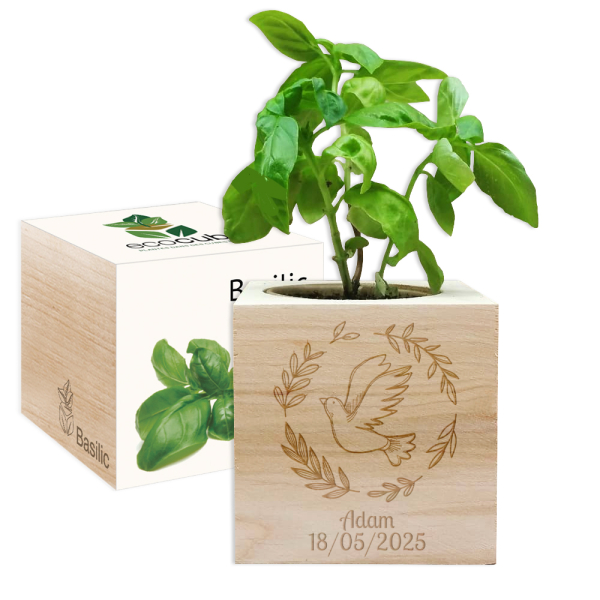 Personalised EcoCube dove baptism Personalised EcoCube dove baptism