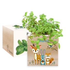 Printed EcoCube Enchanted Forest Printed EcoCube Enchanted Forest