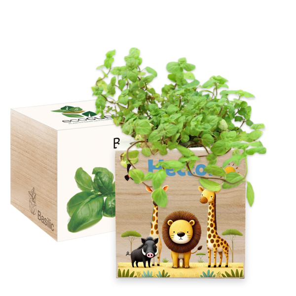 Printed EcoCube Safari Printed EcoCube Safari