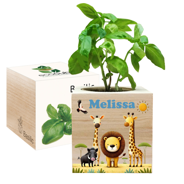 Printed EcoCube Safari Printed EcoCube Safari