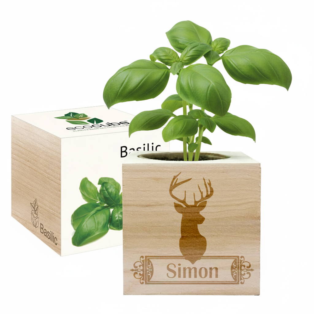 Engraved Ecocubes