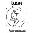 Bear moon