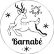 Reindeer
