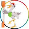 Rowing Sport