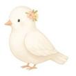 Dove