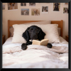 To bed