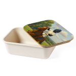 Lunchbox