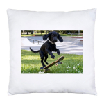 Cushion