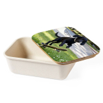 Lunchbox