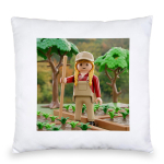 Cushion