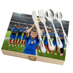 Cutlery set in a case