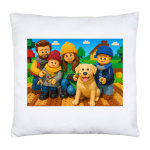 Cushion
