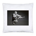Cushion