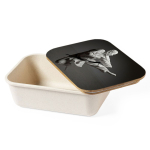 Lunchbox