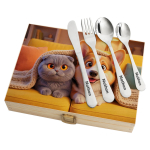 Cutlery set in a case