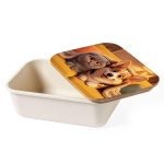 Lunchbox