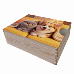 Wooden storage box
