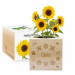 EcoCube personalised First Name EcoCube personalised First Name