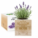EcoCube personalised First Name EcoCube personalised First Name