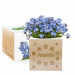 EcoCube personalised First Name EcoCube personalised First Name