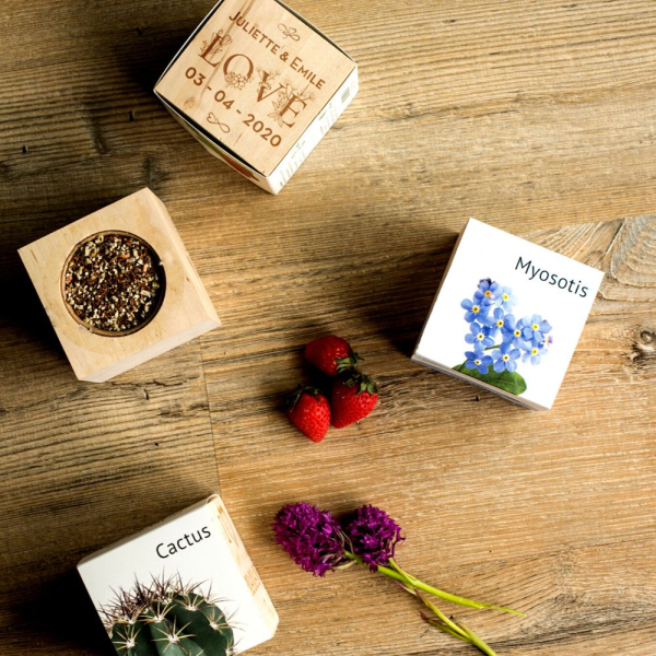 Custom Love EcoCube