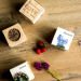 Custom Love EcoCube