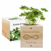 Custom Love EcoCube