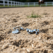Customised horse-shaped keyring Customised horse-shaped keyring