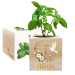 Printed EcoCube dove baptism Printed EcoCube dove baptism