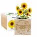 Engraved EcoCube Teacher Appreciation Engraved EcoCube Teacher Appreciation