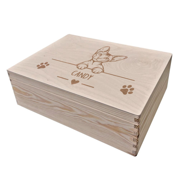 Engraved storage box for cats
