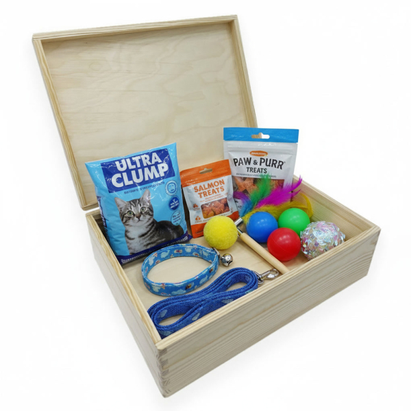 Engraved storage box for cats