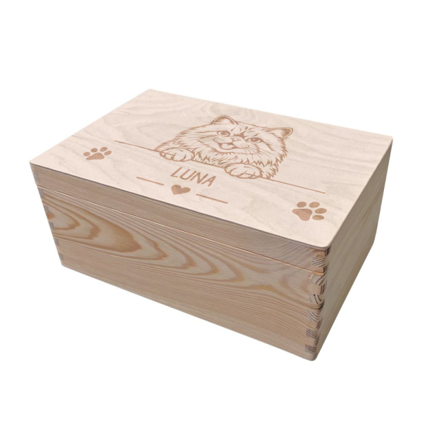 Engraved storage box for cats