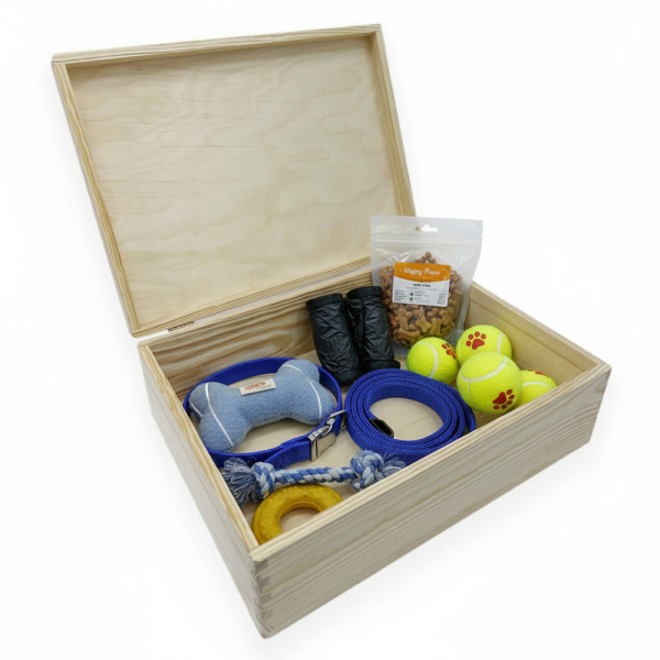 Engraved dog storage box