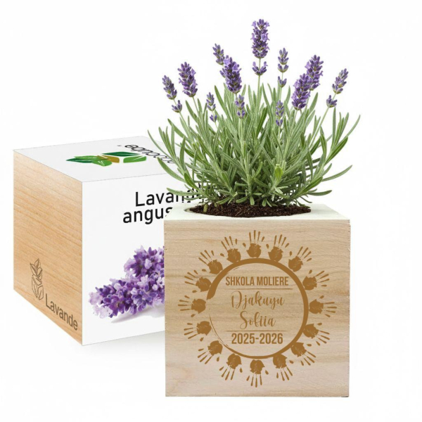 Engraved EcoCube for teacher circle of hands