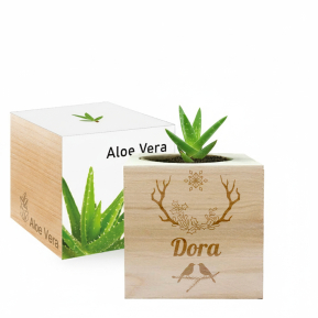 Personalised Christmas EcoCube
