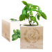 Personalised EcoCube dove baptism Personalised EcoCube dove baptism