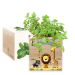 Printed EcoCube Safari Printed EcoCube Safari