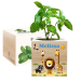 Printed EcoCube Safari Printed EcoCube Safari