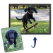 Well-behaved animals portrait from a photo